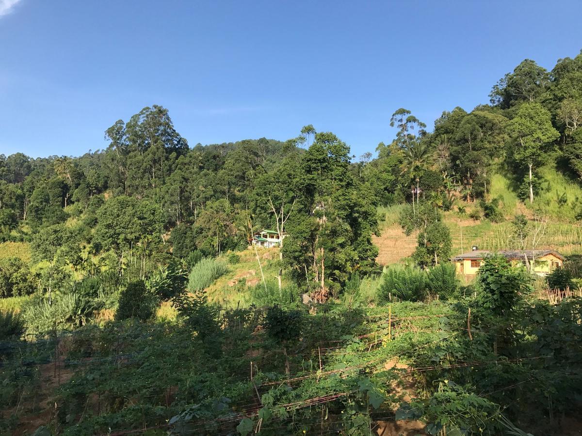 Serenity Homestay เอลลา ภายนอก รูปภาพ
